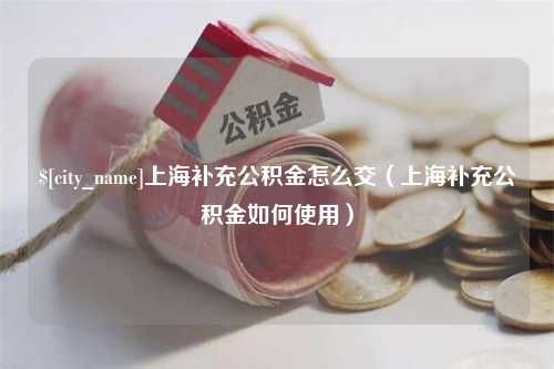 莘县上海补充公积金怎么交（上海补充公积金如何使用）