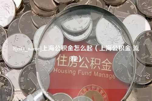 莘县上海公积金怎么起（上海公积金 流程）